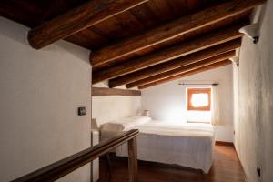 Ca cele viola - Klodge img23