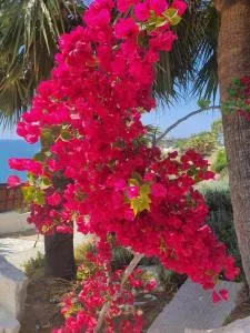 Mediterranean Sunset 2 bedroom bungalow with breathtaking sea views - Lempa