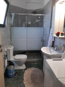 studio yannis leonidas