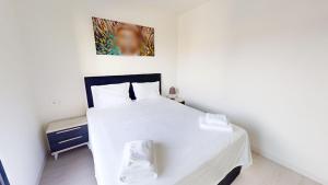 Villa Solar - A Murcia Holiday Rentals Property