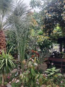 Patra Rooms Skala Prinou