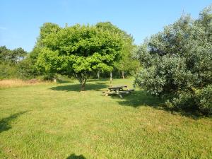 Maisons de vacances 4* a Belle ile en Mer, 5 chambres, 2 salles de bains, avec jardins privatifs : photos des chambres