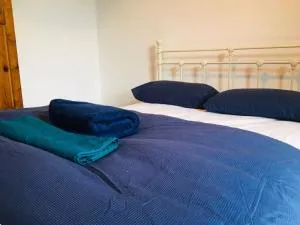 Bosworth street house - Markfield