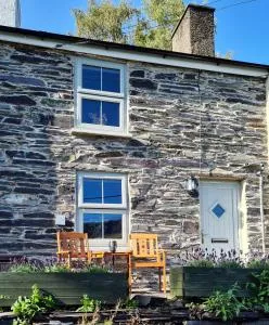 Coblynau Cottage - Moel-tryfan