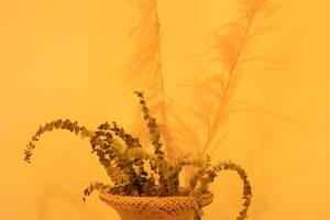 GURUS FR | Aparta Loft cerca hospital, Aeropuerto, escritorio