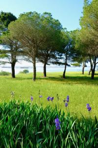 B&B / Chambres d'hotes Au bord de Thau : photos des chambres