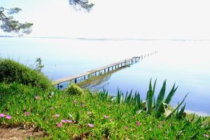 B&B / Chambres d'hotes Au bord de Thau : photos des chambres