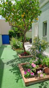 Pratza Froria img41