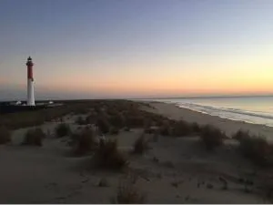 L' Olive Cottage - La Tremblade