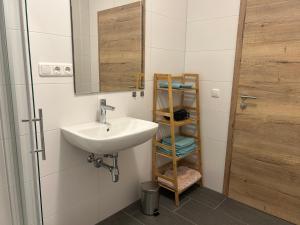 Apartment Attergautraum 1