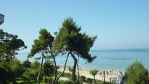 Caterina A2 - Pineto Vacanza