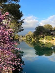 Maisons de vacances Coup de coeur charmante maison aux bois mures : photos des chambres