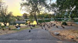 Maisons de vacances Coup de coeur charmante maison aux bois mures : photos des chambres