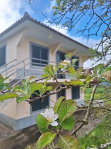 Villa Correia - Ribeiro Frio