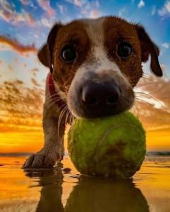 Apartamento En planta baja Directo a la calle