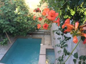 B&B / Chambres d'hotes Chambre d'hote Mas de Silvacane : Chambre Double - Vue sur Jardin