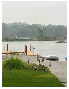 Duck Bay Waterfront Retreat - Мідленд