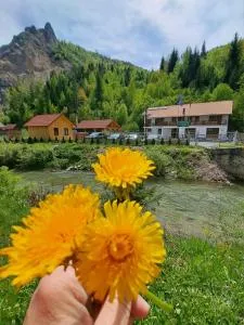 Pensiunea Cheile Șugăului - 红湖