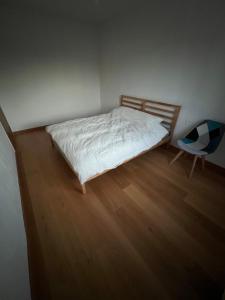 Amber Seekers Retreat