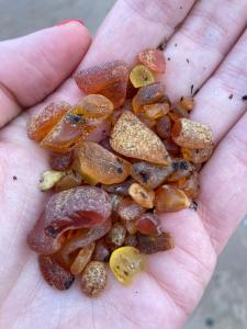 Amber Seekers Retreat