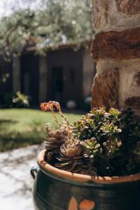 Hotels La Villa d'Andrea : photos des chambres