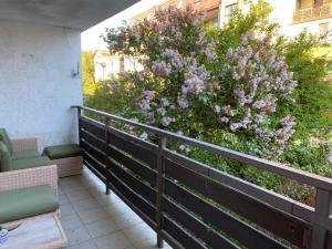 Leśne Apartamenty - Apartament Szary