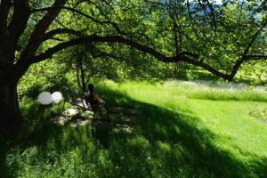 Apart Moidl mit privatem Pool