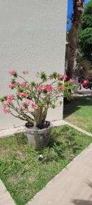 Casa 109 COND BRISAS DO FAROL n 07