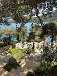 Seaview Shadow House