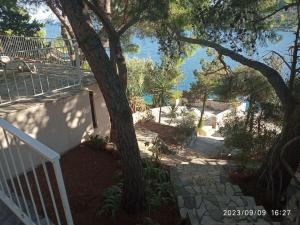 Seaview Shadow House