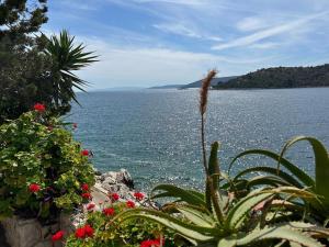 Seaview Shadow House