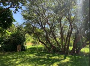 Maisons de vacances Havre de Paix : photos des chambres