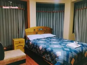 Hostal Posada - Ayaviri