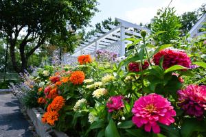 The Lodge at Jackson Village