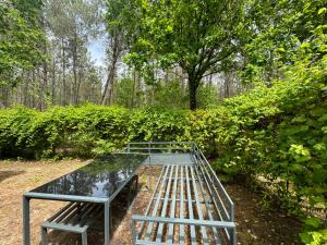 Appartements Vacances sous les pins, pres de la mer, 6-8 pers,bien equipe, piscine : photos des chambres