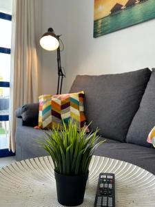 Pool Front Playmar Maspalomas