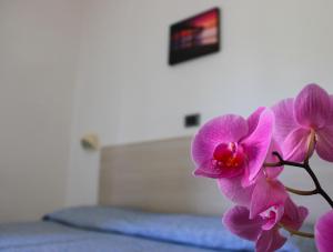 Quadruple Room room in Hotel Puccinelli