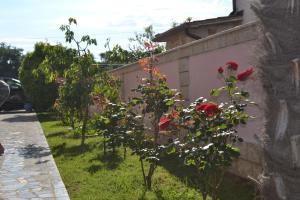 Villa Baldi -Apartmani Danny