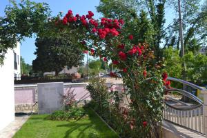 Villa Baldi -Apartmani Danny