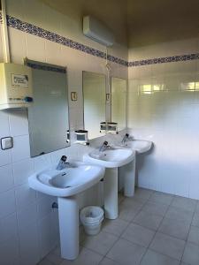 Glamping Cañon del Rio Lobos