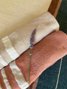 B&B / Chambres d'hotes Mas de grange neuve : photos des chambres