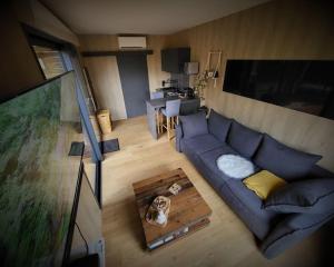 Maisons de vacances Lodge Cosy - Sauna & Jacuzzi. : photos des chambres