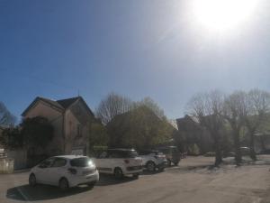 Appartements Ambiance chalet Salles-Curan : photos des chambres