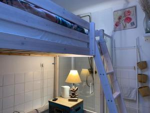 Paris Studio Rose & Stouring