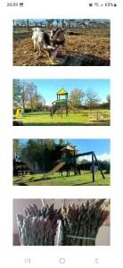 Alloggio agrituristico Zambon - Ospedaletto