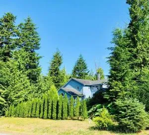 Blue Cedar Suite - Nootka