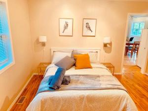 Blue Cedar Suite