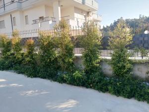 Residence Mare Azzurro