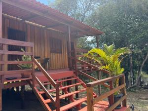 Novo Airão - Espaço Pallafita