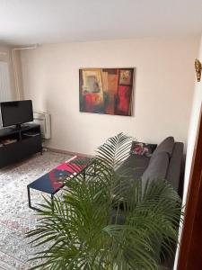 Appartement sur les bords de lIll